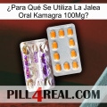 ¿Para Qué Se Utiliza La Jalea Oral Kamagra 100Mg new12